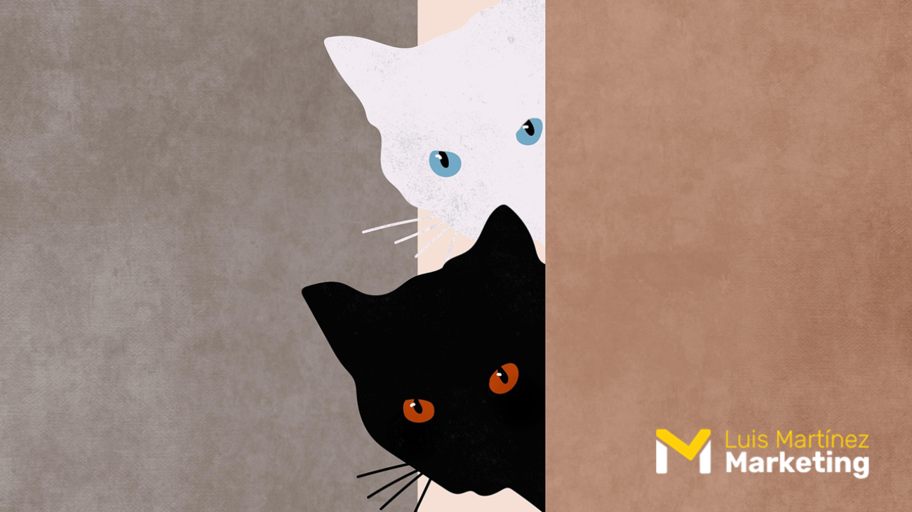 Curiosidad y Marketing 2