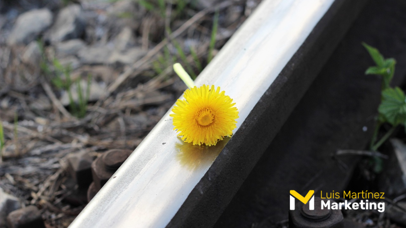 Humildad en las Empresas