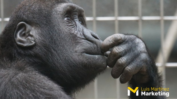 Lo que se olvida en estrategias de marketing y comunicación