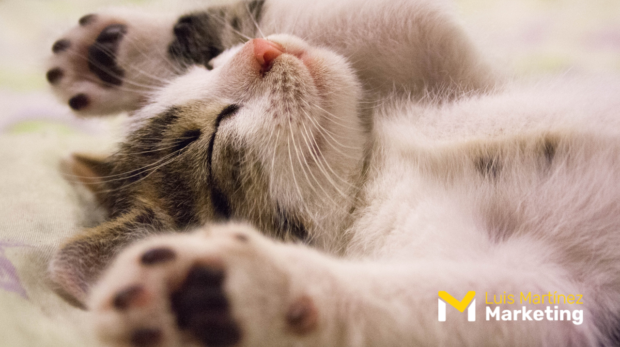 Publicidad y Marketing en nuestros sueños